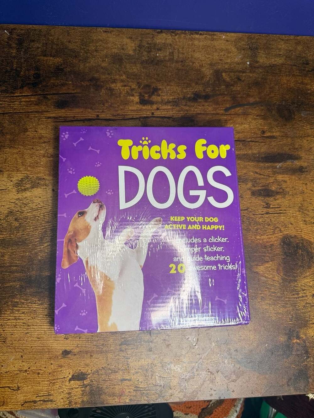 Tricks for Dogs Kit by Publications International Ltd.
